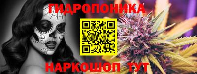 амф Анапа